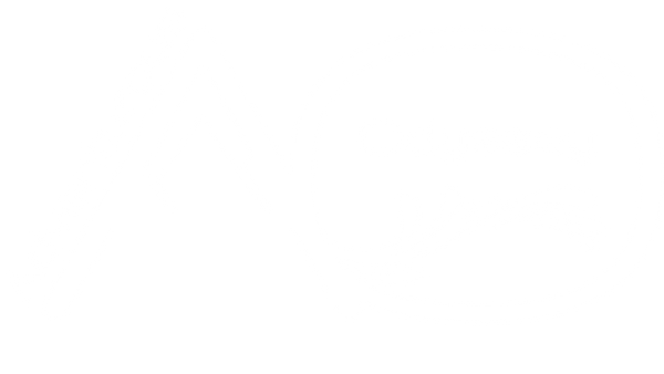 Adventurous Odyssey